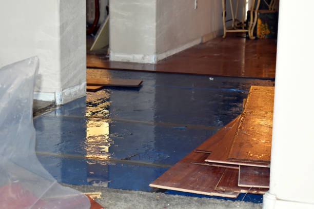 Professional Water Damage Restoration technician working in Braham, MN